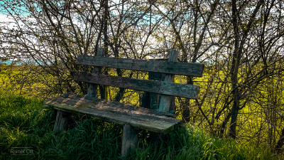 Bank-Hecke