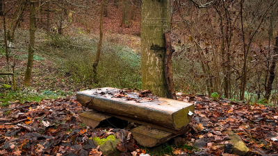 einfache-Bank