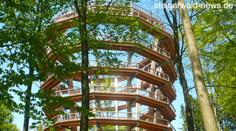Baumwipfelpfad Steigerwald ist wieder geöffnet