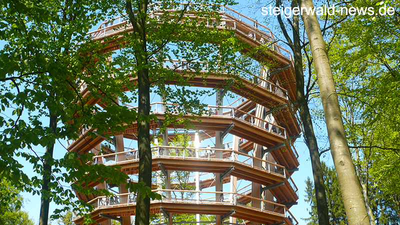 Baumwipfelpfad Steigerwald ist wieder geöffnet