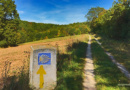 Jakobsweg Burgebrach Schlüsselfeld wandern heimat freizeit