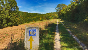 Jakobsweg Burgebrach Schlüsselfeld wandern heimat freizeit