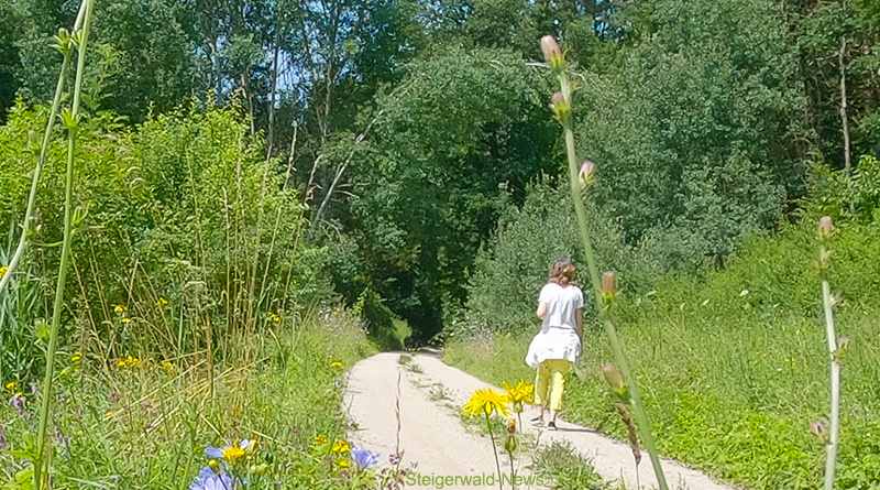 Neudorf Wanderung Pest