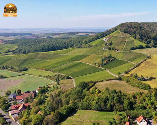 hügelige Landschaft Weinberge bei Handthal. Ein beliebtes Ausflugsziel. Sehr gute Wandermöglichkeiten