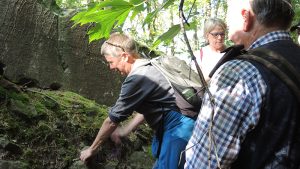 Geologische Wanderung im Steigerwald