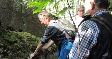Geologische Wanderung im Steigerwald