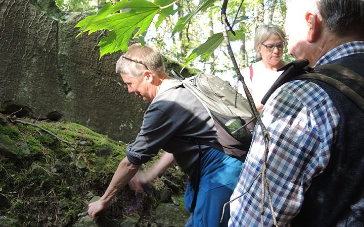 Geologische Wanderung im Steigerwald