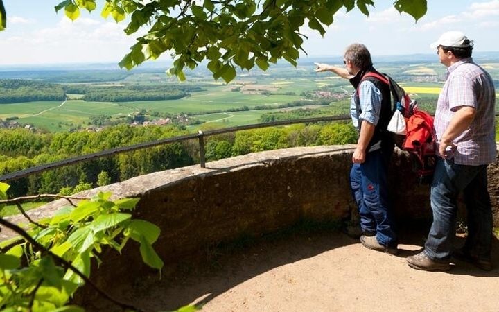 Der Tourismus in Bamberg und im Bamberger Land verzeichnete 2024 ein starkes Wachstum.