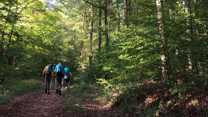 Waldführung bei Fabrikschleichach mit Förster Hans Stark