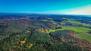 Steigerwald ist Deutschlands beliebtester Wald - Bayern im Ranking ganz vorne