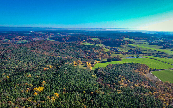 Steigerwald ist Deutschlands beliebtester Wald - Bayern im Ranking ganz vorne