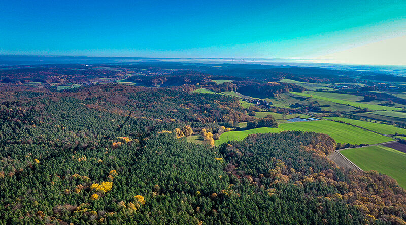 Steigerwald ist Deutschlands beliebtester Wald - Bayern im Ranking ganz vorne