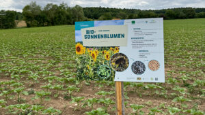 Geführter Bio-Rundgang bei Gunzendorf am 17. Juni – Info-Tafeln neu aufgestellt