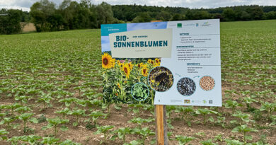 Geführter Bio-Rundgang bei Gunzendorf am 17. Juni – Info-Tafeln neu aufgestellt