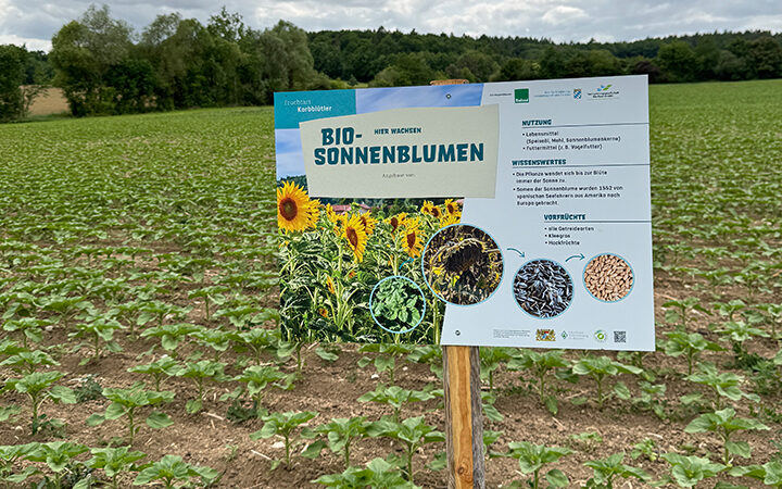 Geführter Bio-Rundgang bei Gunzendorf am 17. Juni – Info-Tafeln neu aufgestellt
