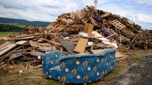 Johannisfeuer richtig vorbereiten – Umwelt und Tiere schützen