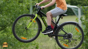 Stadtradeln 2025 - Bamberg bricht alle Rekorde