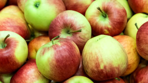 Streuobsternte im Landkreis Bamberg - So wird aus Obst leckerer Saft