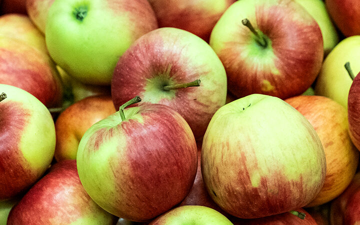Streuobsternte im Landkreis Bamberg - So wird aus Obst leckerer Saft