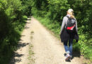 Karpfenweg-Eröffnung - Geführte Tour zur Vorstellung des neuen Faltblatts