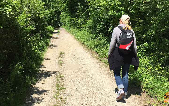 Karpfenweg-Eröffnung - Geführte Tour zur Vorstellung des neuen Faltblatts
