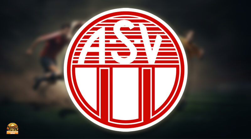 Mit Rückenwind nach Cham – Domreiter wollen Siegesserie fortsetzen - FC Eintracht Bamberg - Fußball