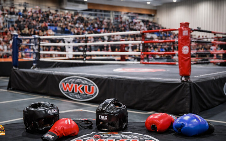 Pommersfeldener Kickboxer mit starken Platzierungen in Heilbronn
