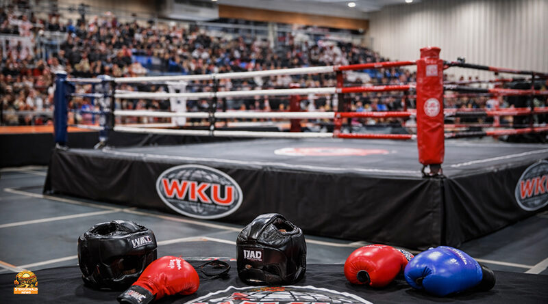 Pommersfeldener Kickboxer mit starken Platzierungen in Heilbronn
