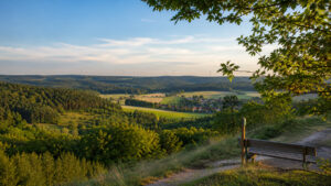 Ausflugsziele im Steigerwald - Landschaft, Bank Wald und Bäume