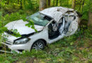 Bei einem schweren Unfall auf der Kreisstraße zwischen Ilmenau und Burggrub kam ein Autofahrer ums Leben. Die Feuerwehr Geiselwind war mehrere Stunden im Einsatz.