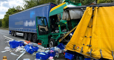 Unfall mit fünf Lastwagen auf der A3: Pferd bleibt offenbar glimpflich verletzt. Zwischen Raststätte Steigerwald und Anschlussstelle Höchstadt Nord