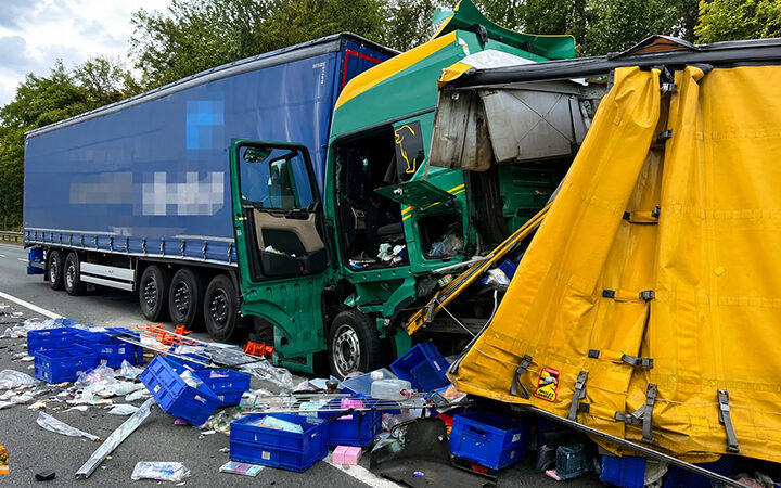 Unfall mit fünf Lastwagen auf der A3: Pferd bleibt offenbar glimpflich verletzt. Zwischen Raststätte Steigerwald und Anschlussstelle Höchstadt Nord