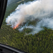Hohe Waldbrandgefahr: Beobachtungsflüge über Oberfranken angeordnet