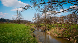 Der Fluss Reiche Ebrach fließt durch den mittleren Steigerwald. Auf dem Foto zwischen Rambach und Schlüsselfeld