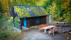 Hütte, Tische und Bänke im Wald mit Feuerstelle. Wird als Trekkingplatz genutzt und befindet sich bei Büchelberg