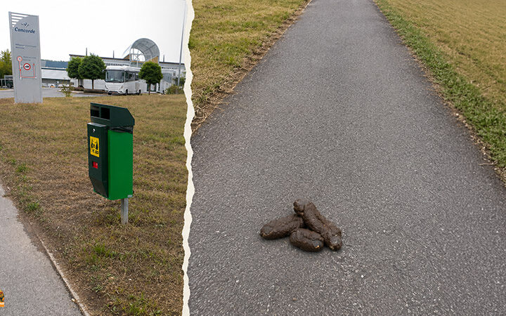Hundehaufen sorgen in Aschbach bei Schlüsselfeld für Ärger. Ein Leser berichtet von zunehmender Verschmutzung auf Straßen und Spazierwegen.