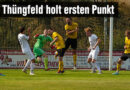 FC Thüngfeld holt ersten Punkt – am Sonntag wartet Schnaid/Rothensand - Gegen den Post-SV Bamberg erkämpfte sich die Mannschaft von Spielertrainer Dominik Malina ein 1:1.