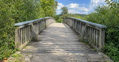 Höchstadt: Baustart für neue Aisch-Brücke am 12. Oktober. Nach mehr als einem Jahr Sperrung soll in Höchstadt am 12. Oktober der Neubau der Holzbrücke über die Aisch am ASV-Sportplatz beginnen.